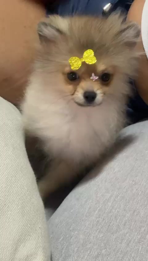 @Preta_🩷💙