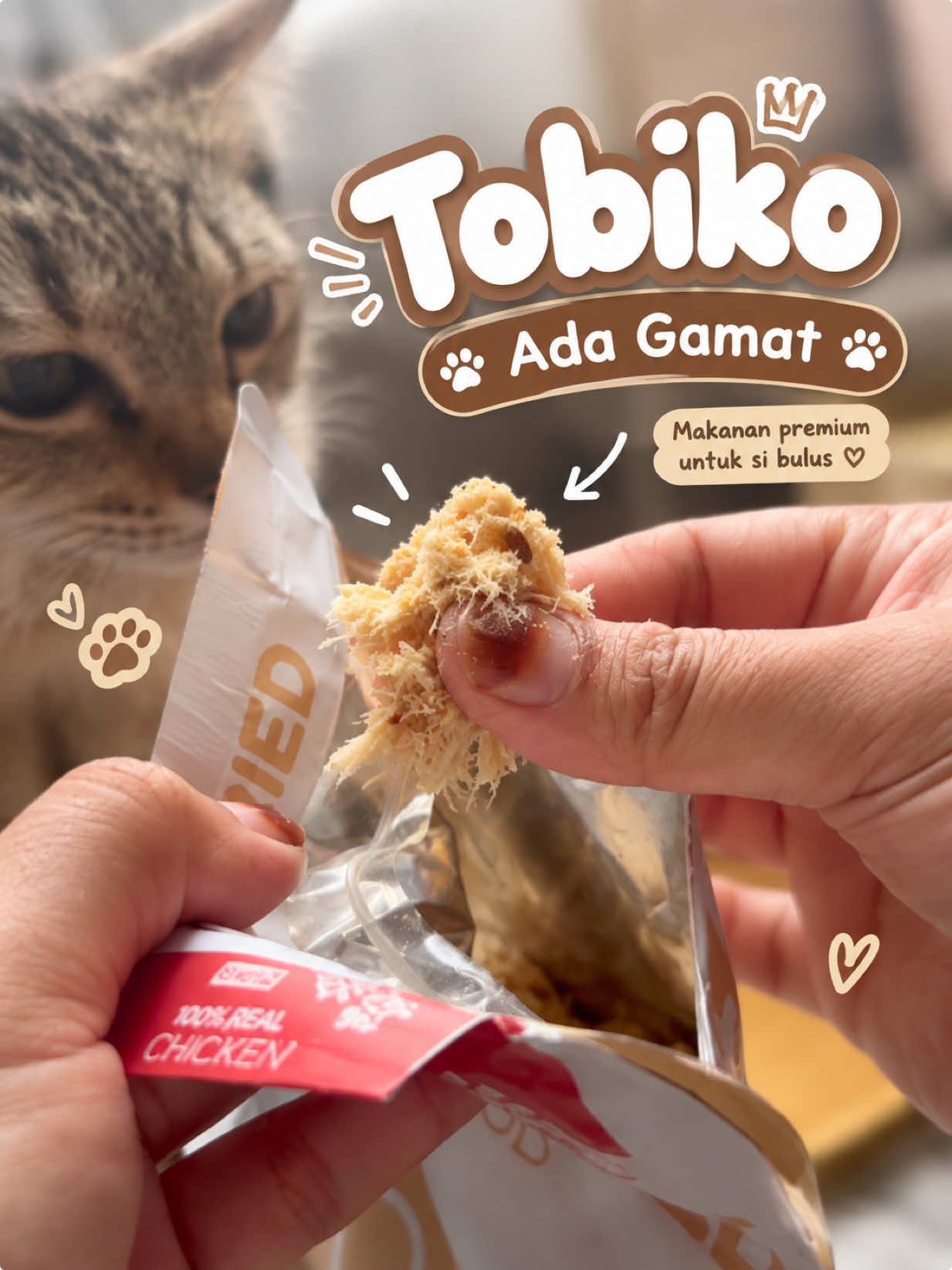 @KUCING SAYA MAJIKAN SAYA|BIHA