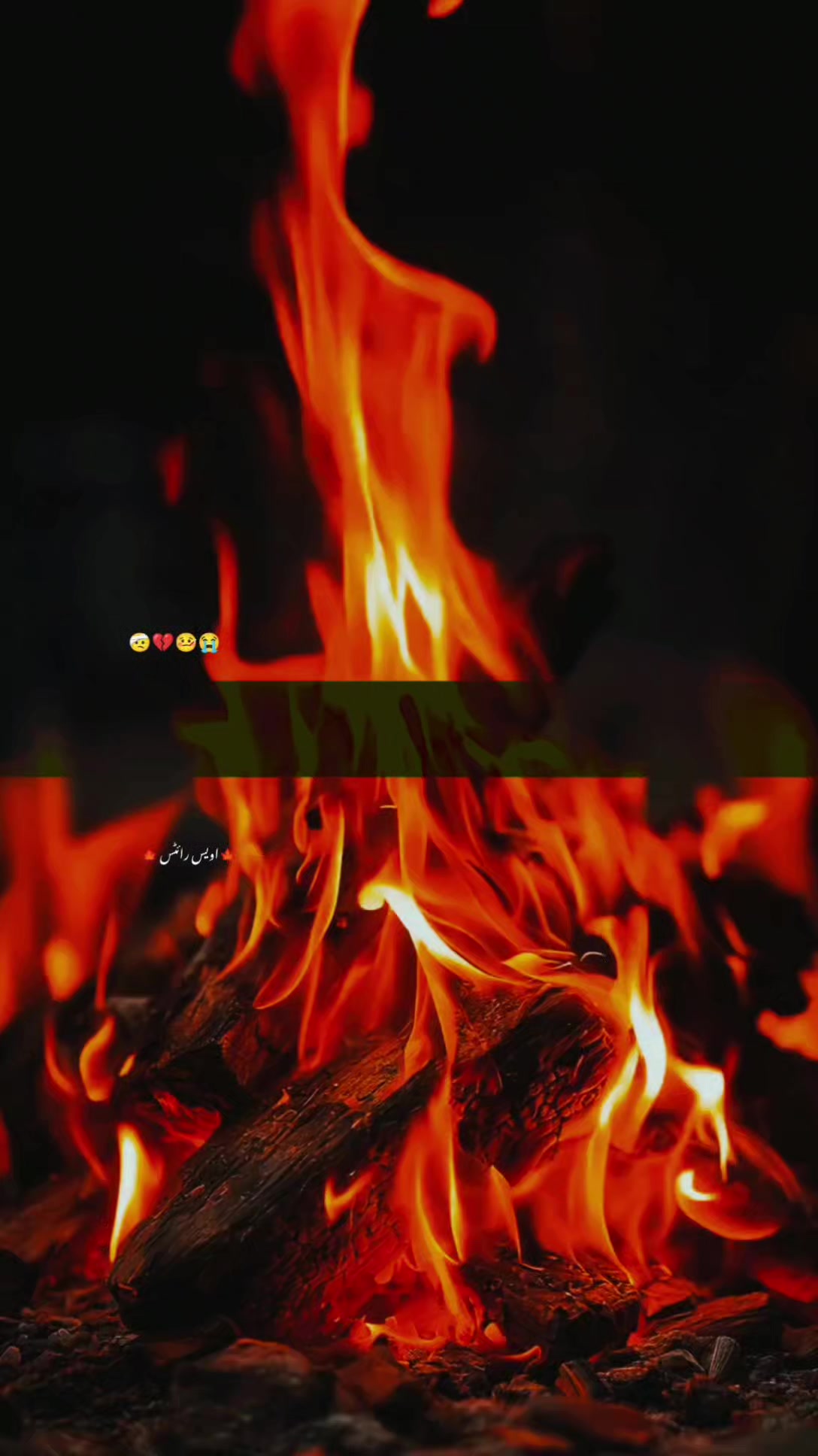 @𝐀𝐰𝐚𝐢𝐬 𝐙𝐚𝐟𝐚𝐫
