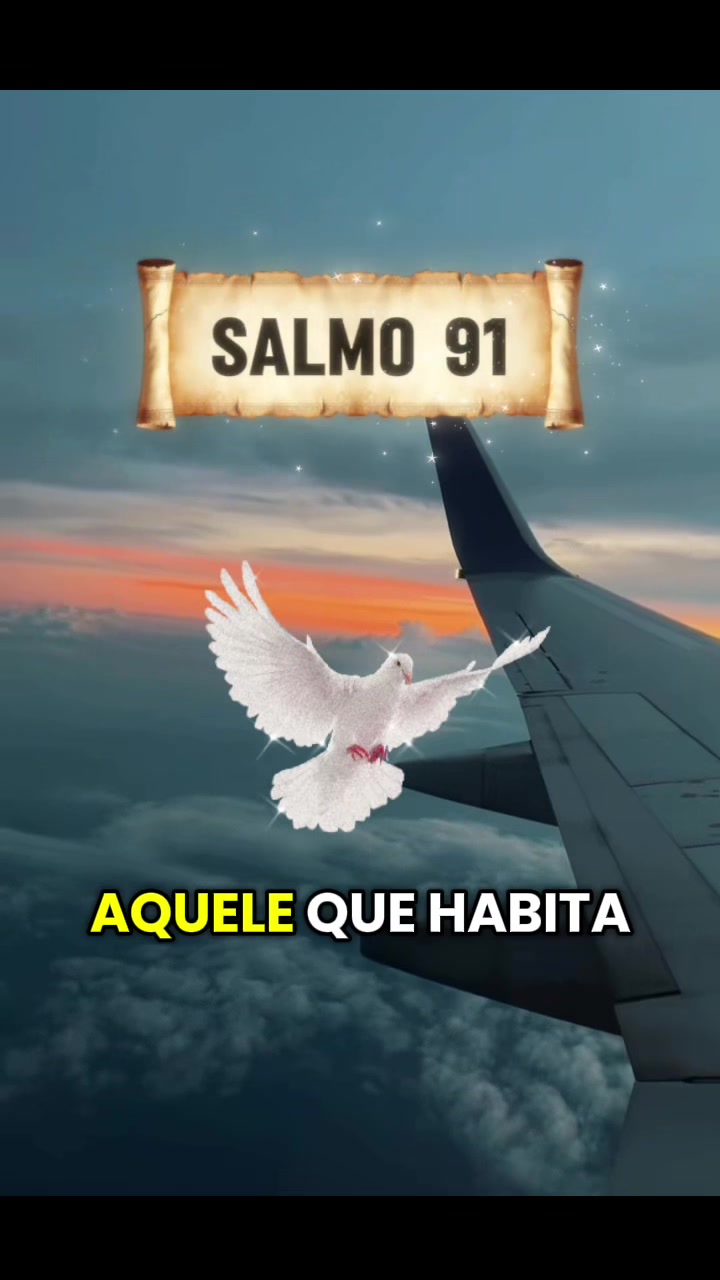@dinizelsio