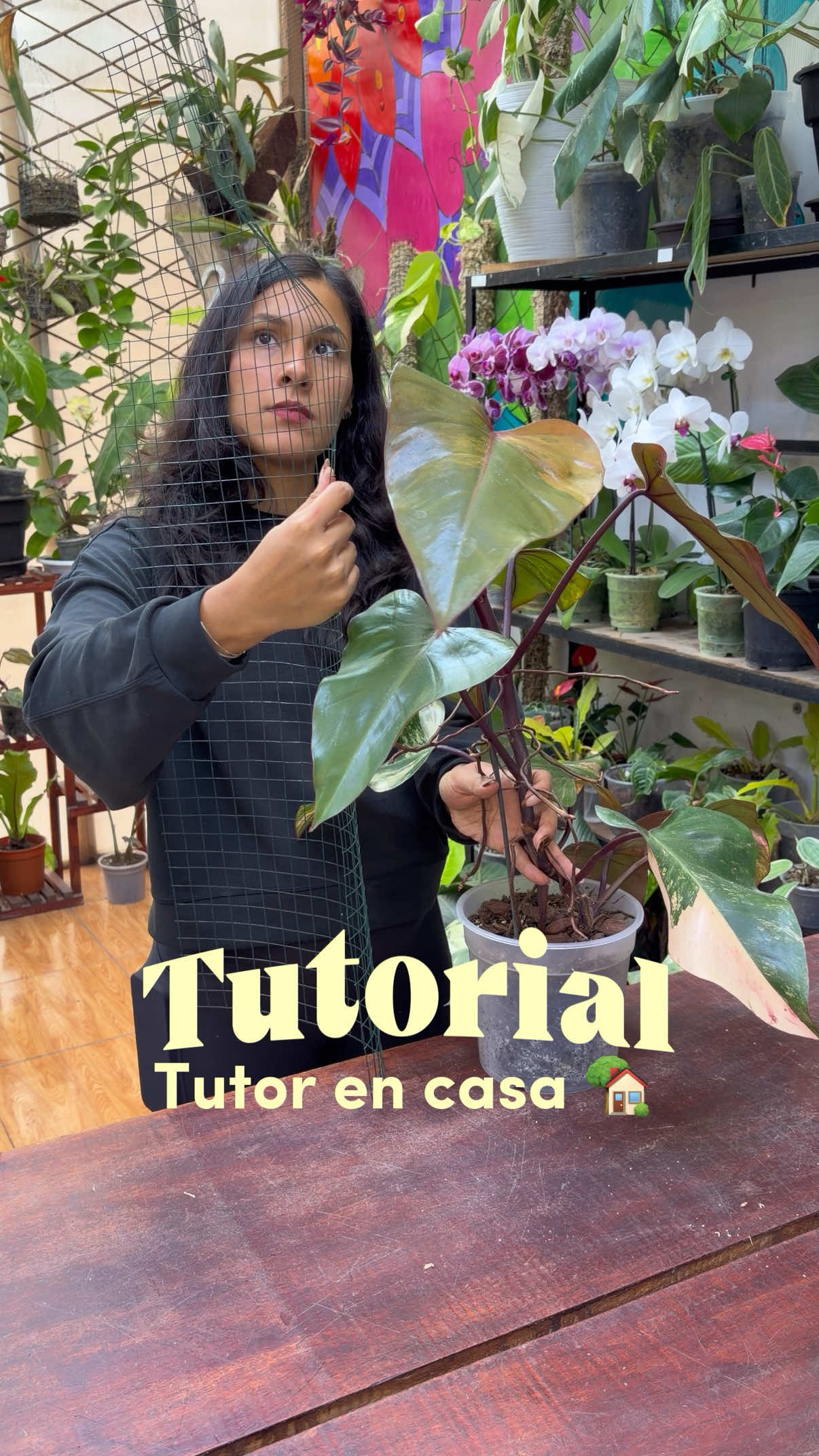 @arianacarrascolopez
