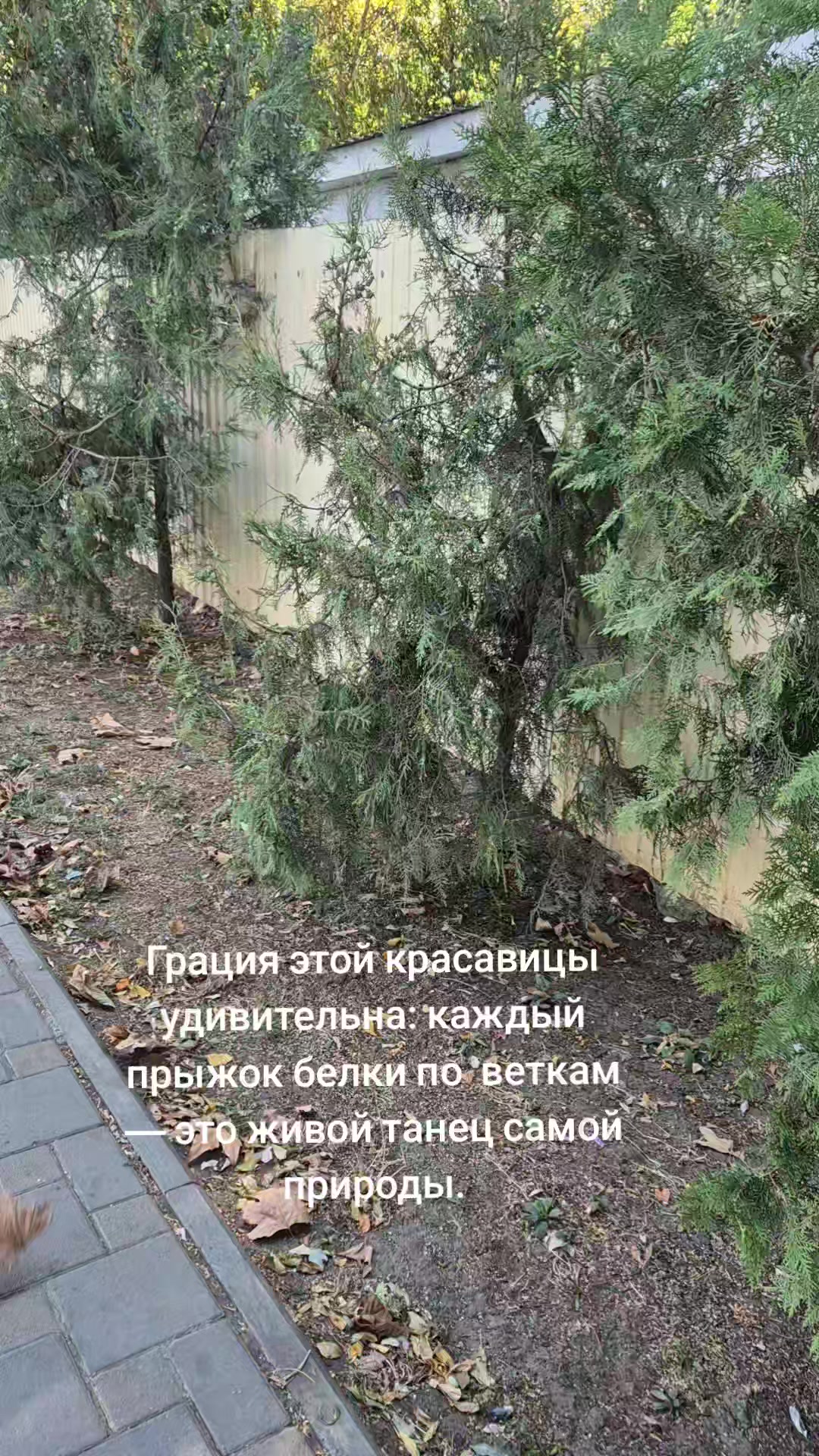 @smart_mom_anapa