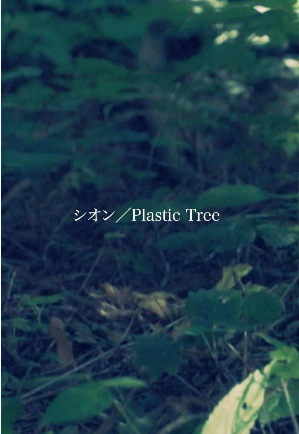 @Plastic Tree_official