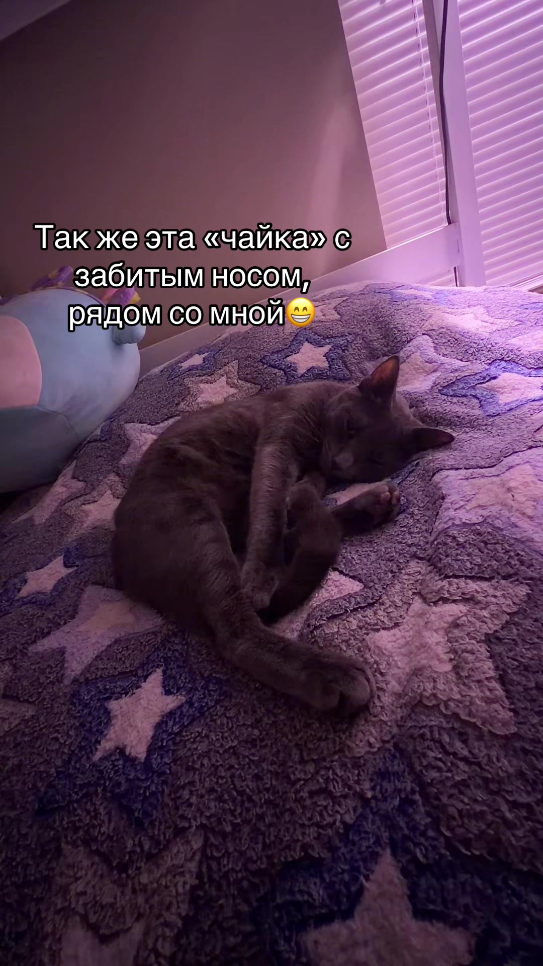 @Aiodessi🇺🇦🇺🇸