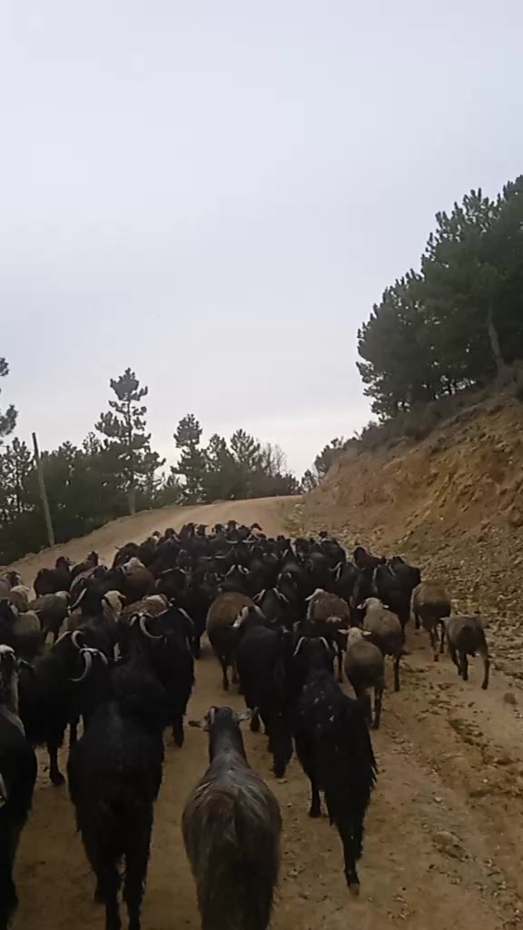 @Osman Eğilmez