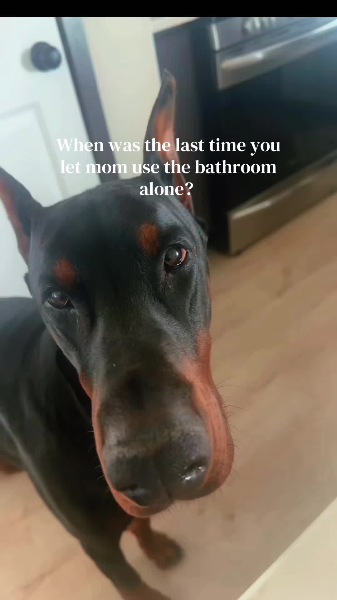 @nikkhenry