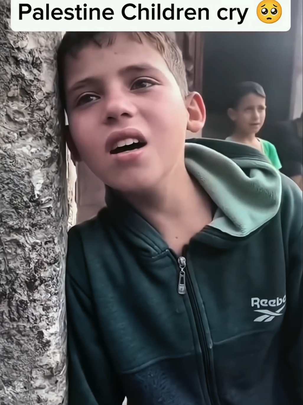 @free Palestinian