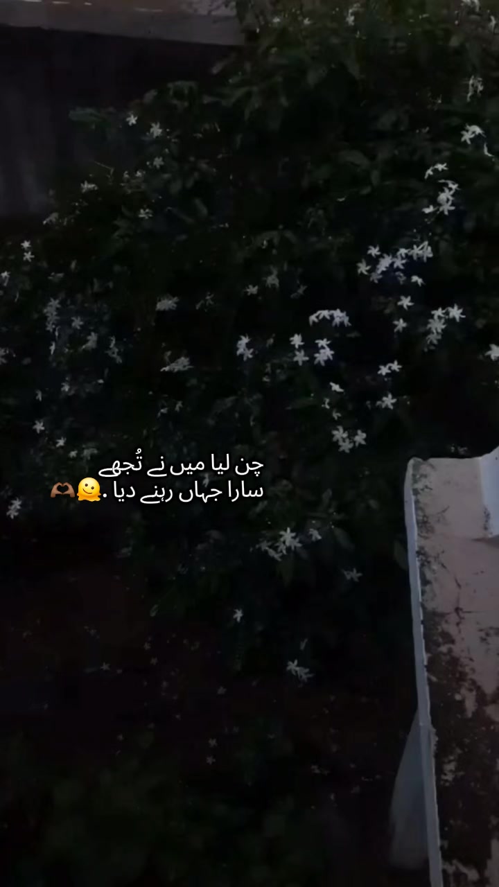 @🫶🏾