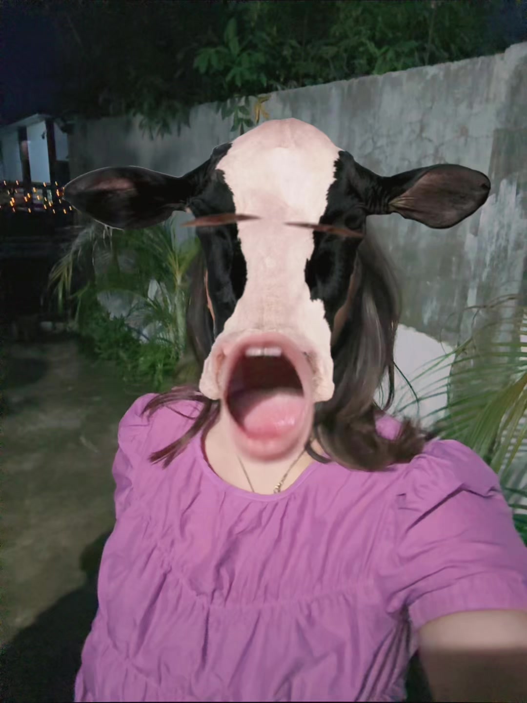 @๐ผ๐๐ถ๐ท๐๐๐๐