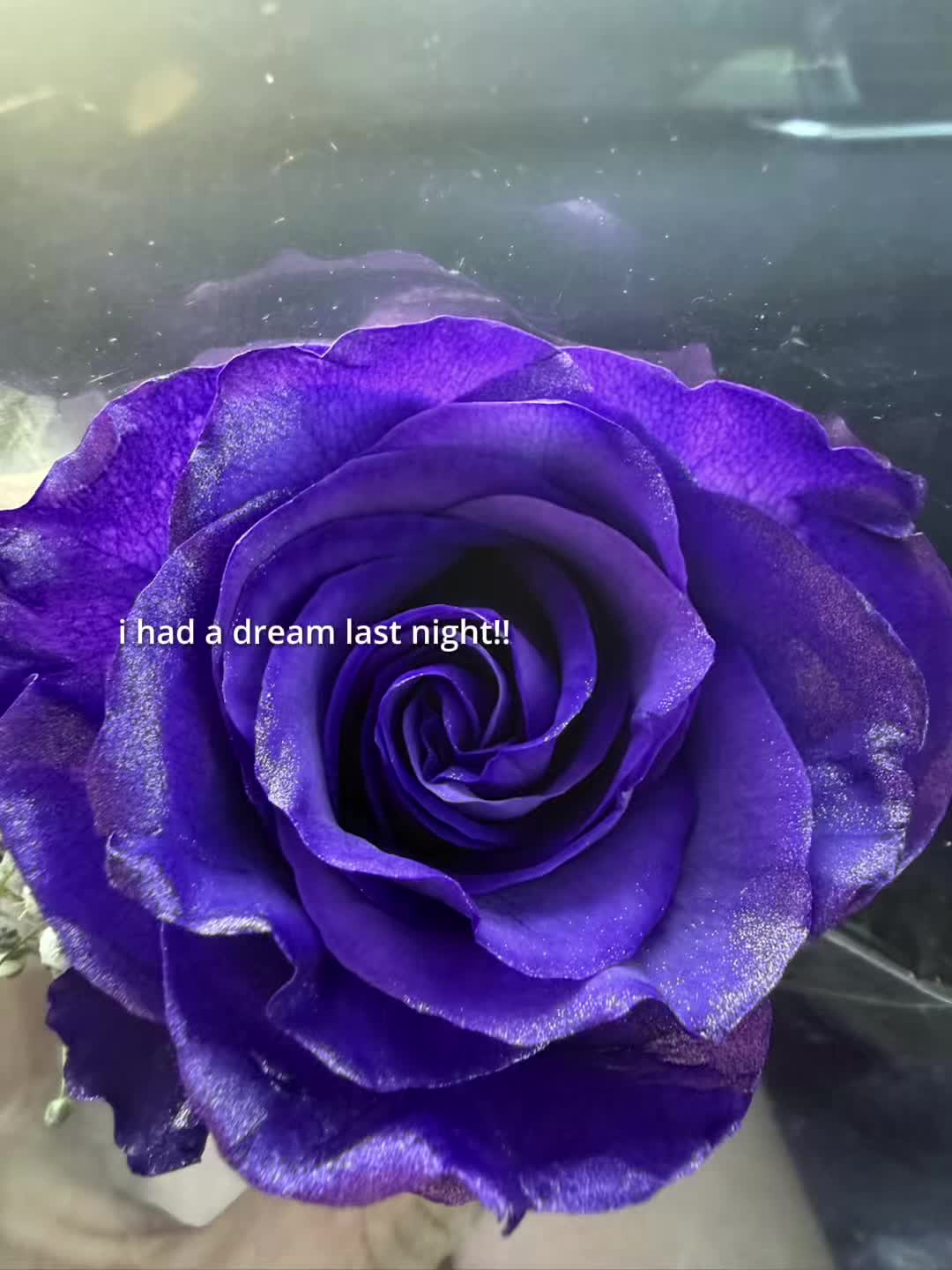 @Mydearghoulfriend