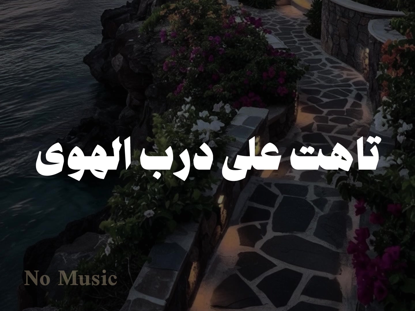 @No Music