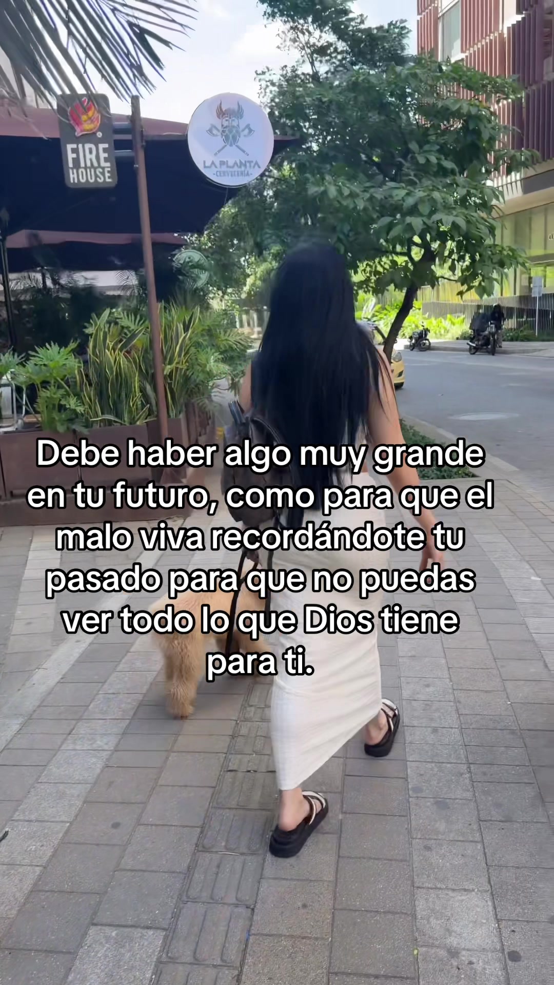 @Maria&ensp;Diez 7 7 7🔮