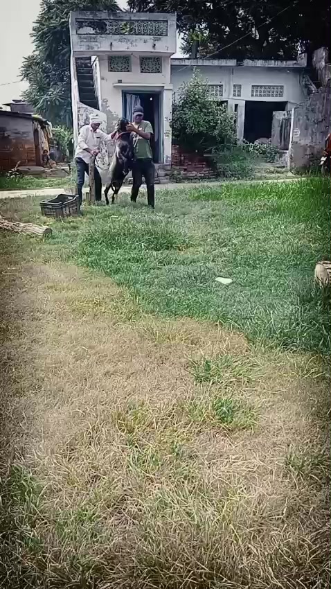 @Mannu Yadav