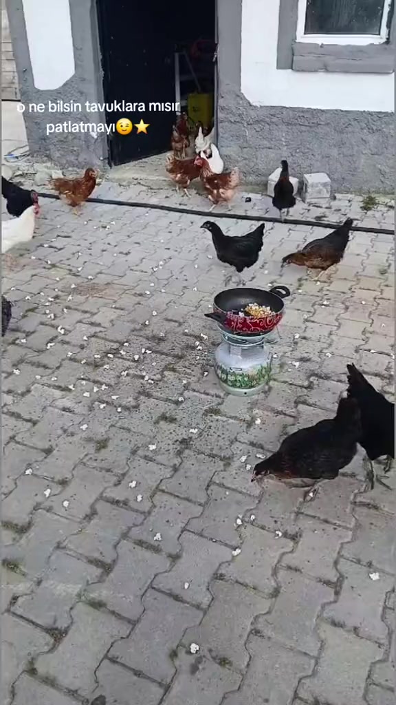 @nuray erkoç⭐️