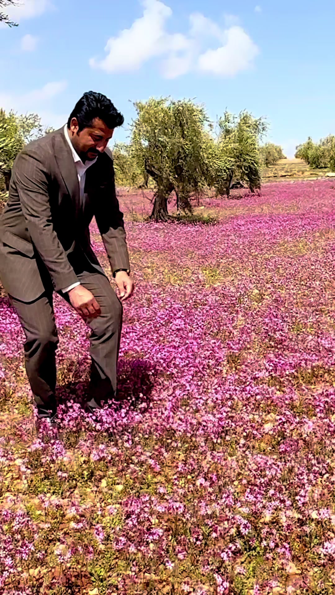 @mustafa çifçi 🌾
