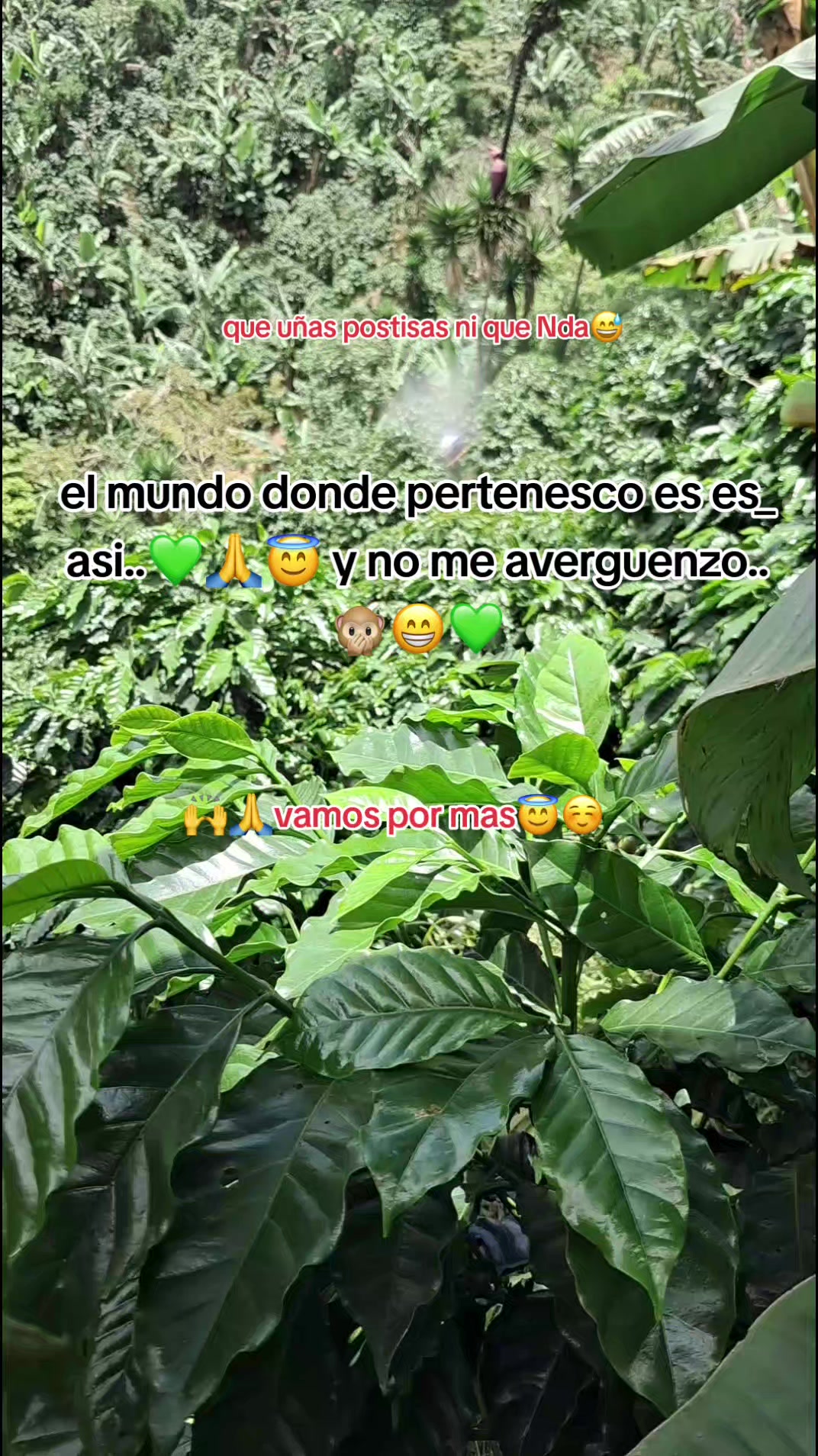 @🦋💜11:11💜🦋_Ňa♡mī💋