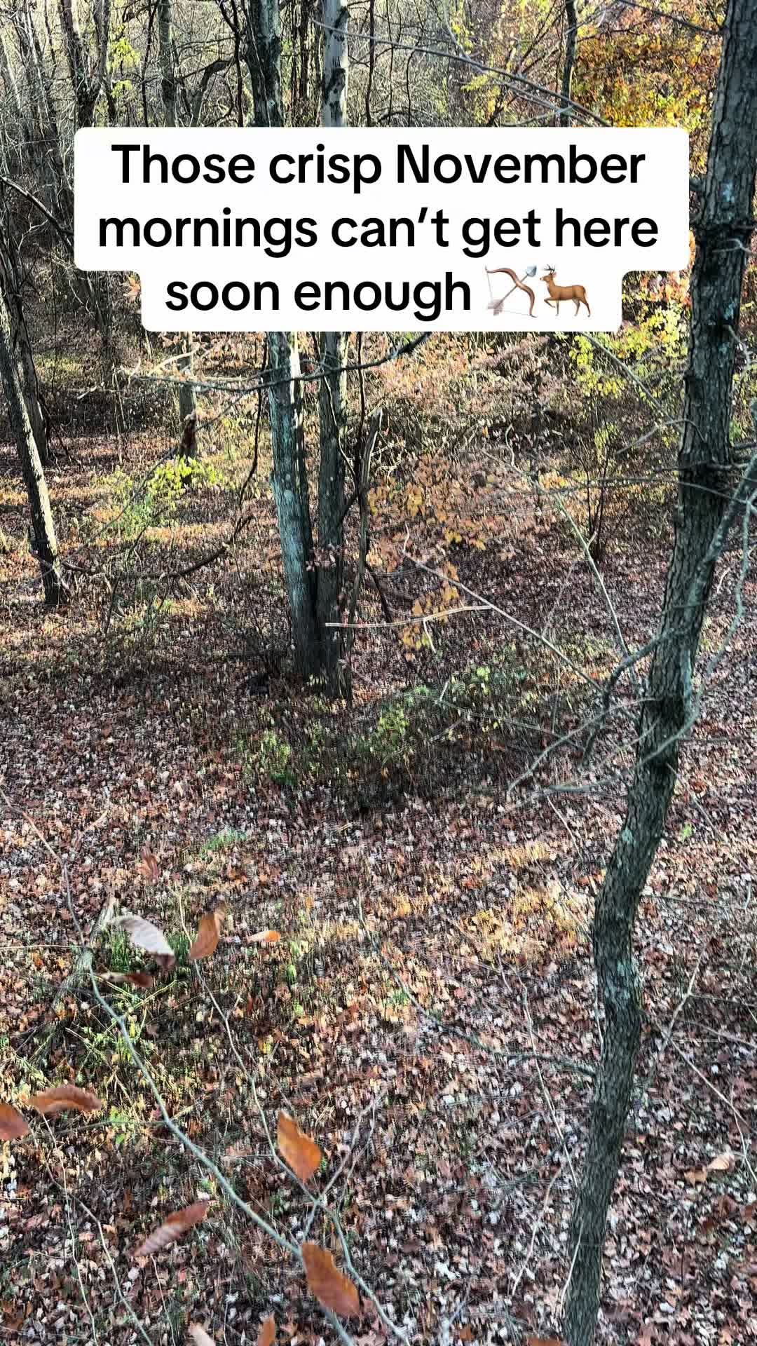 @corbinguyer