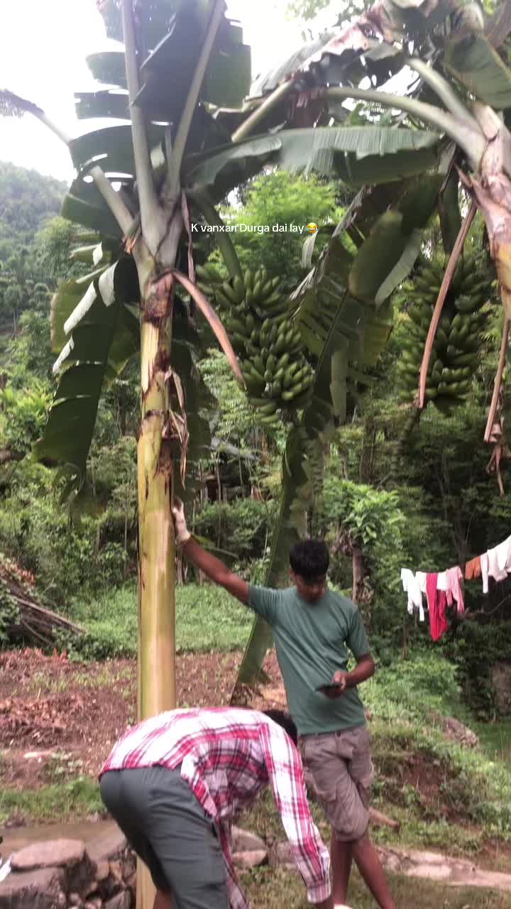 @로서너🎯