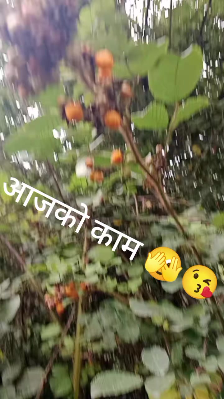 @sHaRMiLA~काउछा❣️