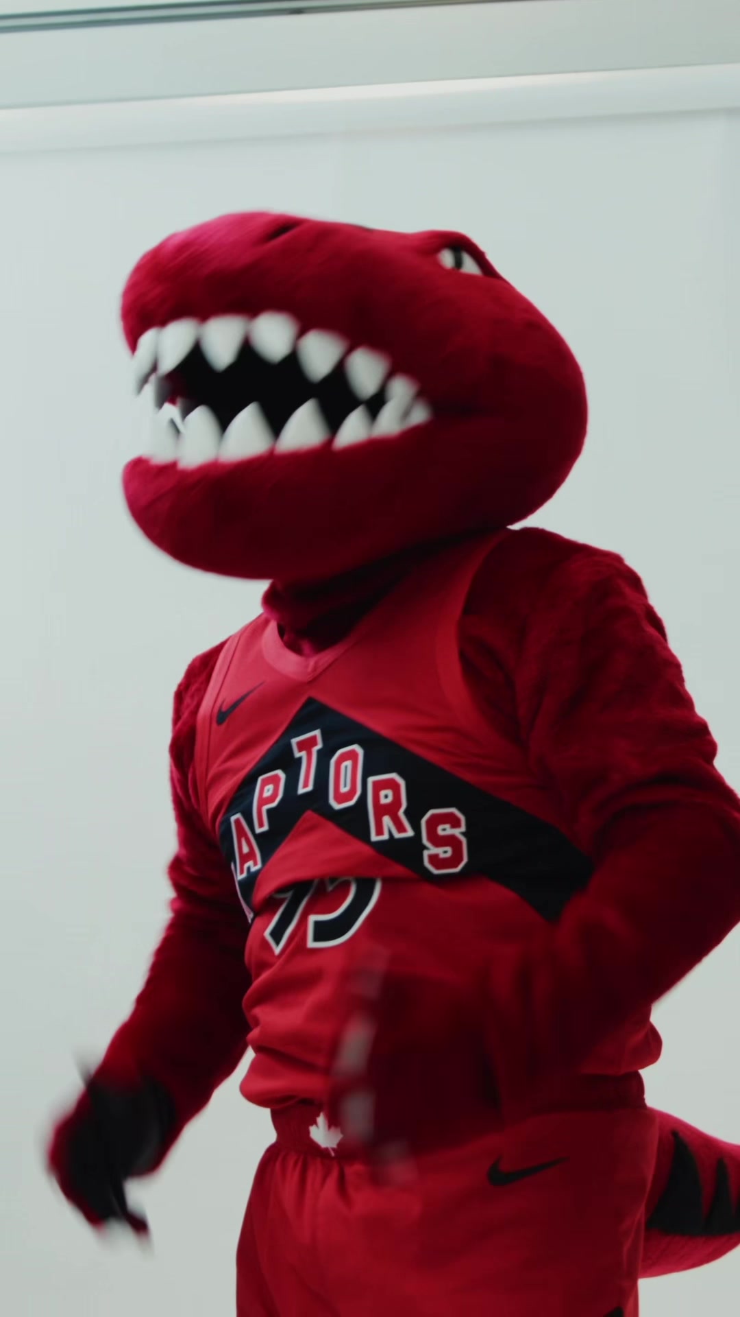 @Raptors