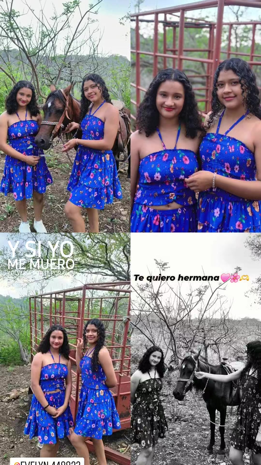 @Colochita😍