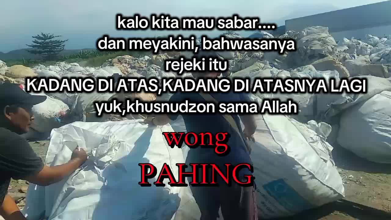 @zdiraf26250