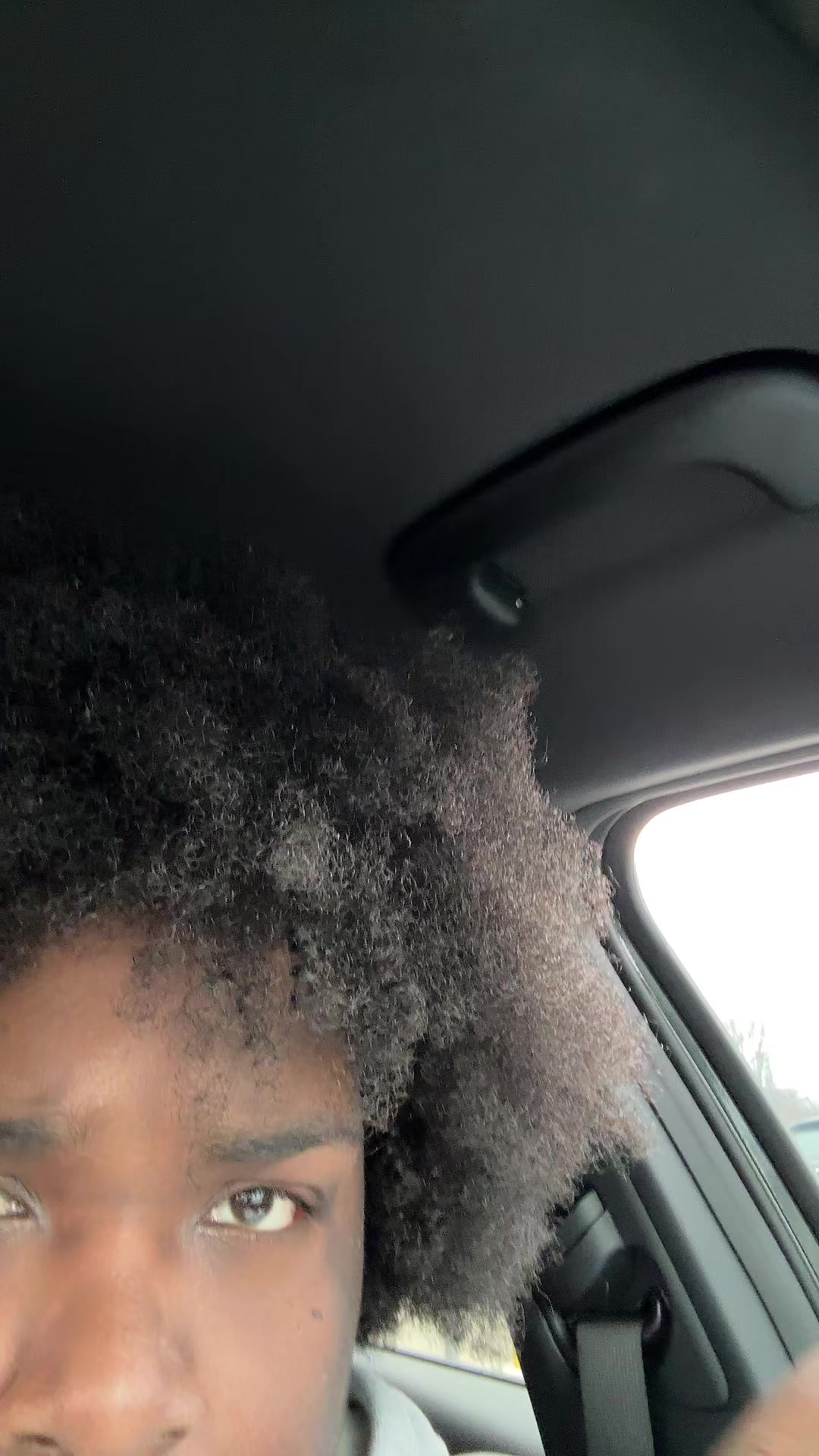 @savv4x