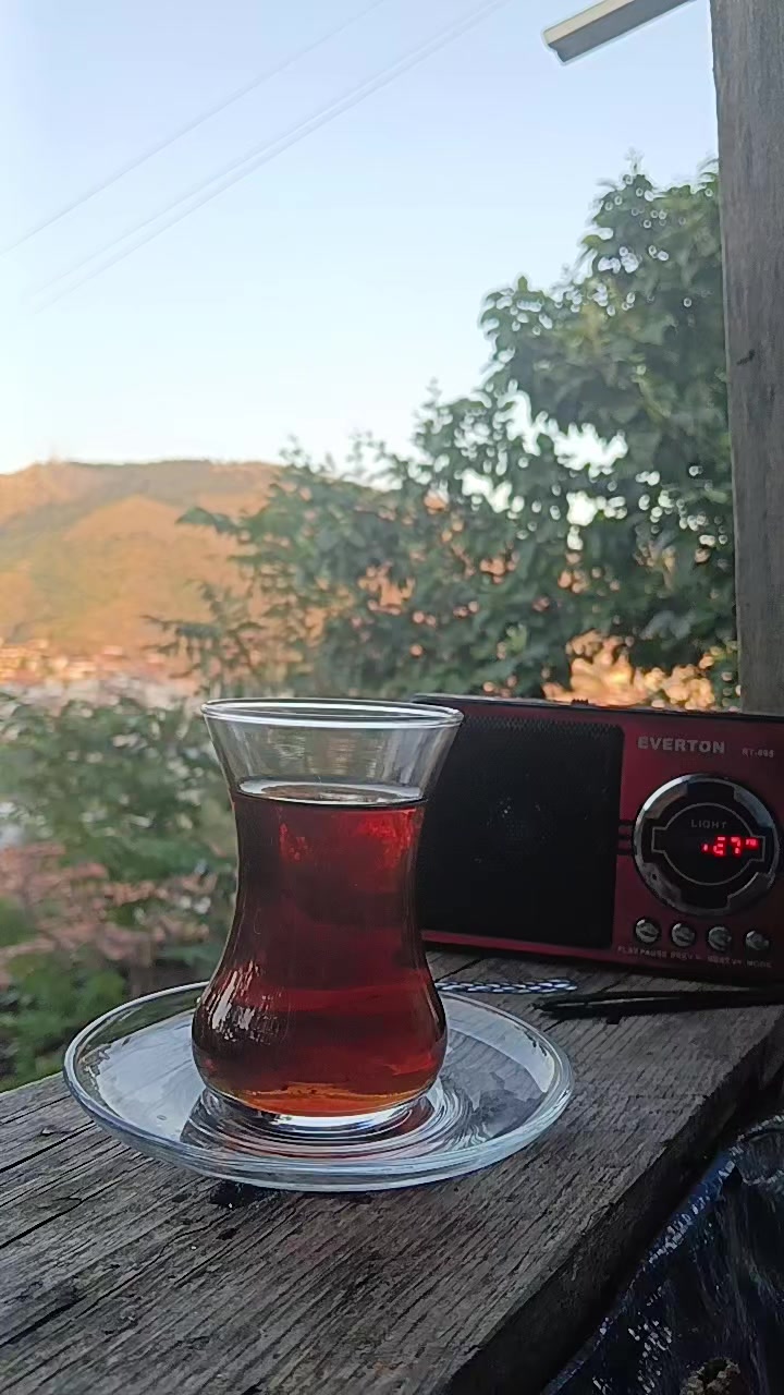 @🕸️hakan🕸️
