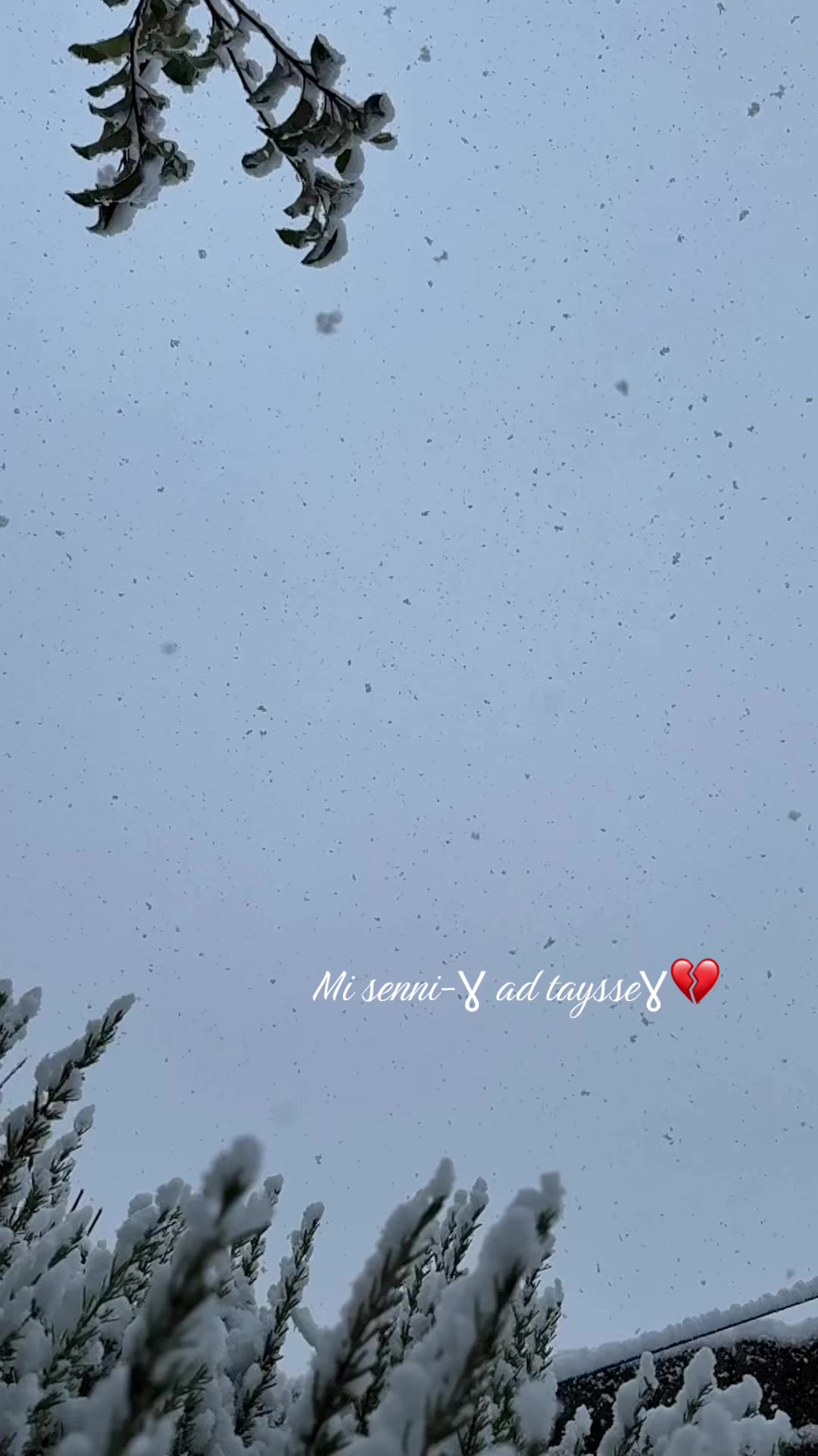 @Настя