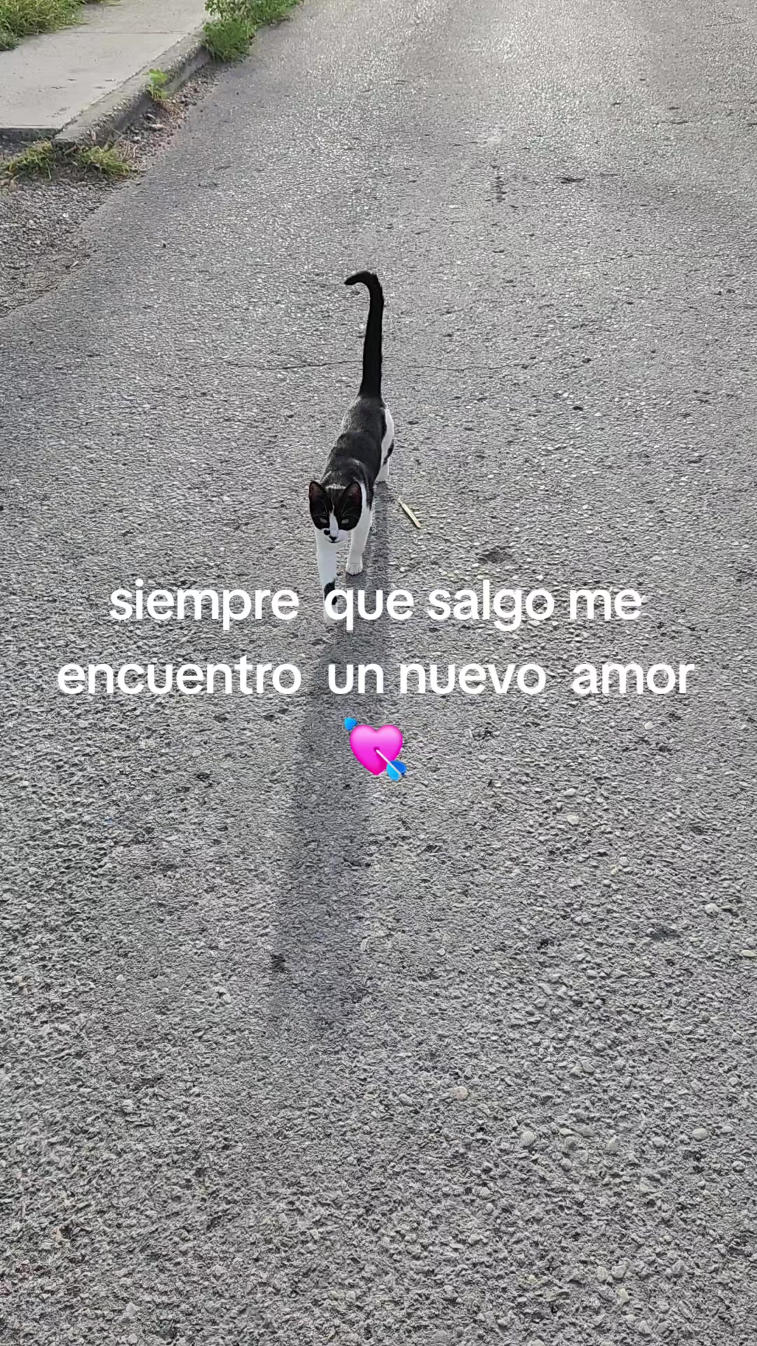 @Alma González