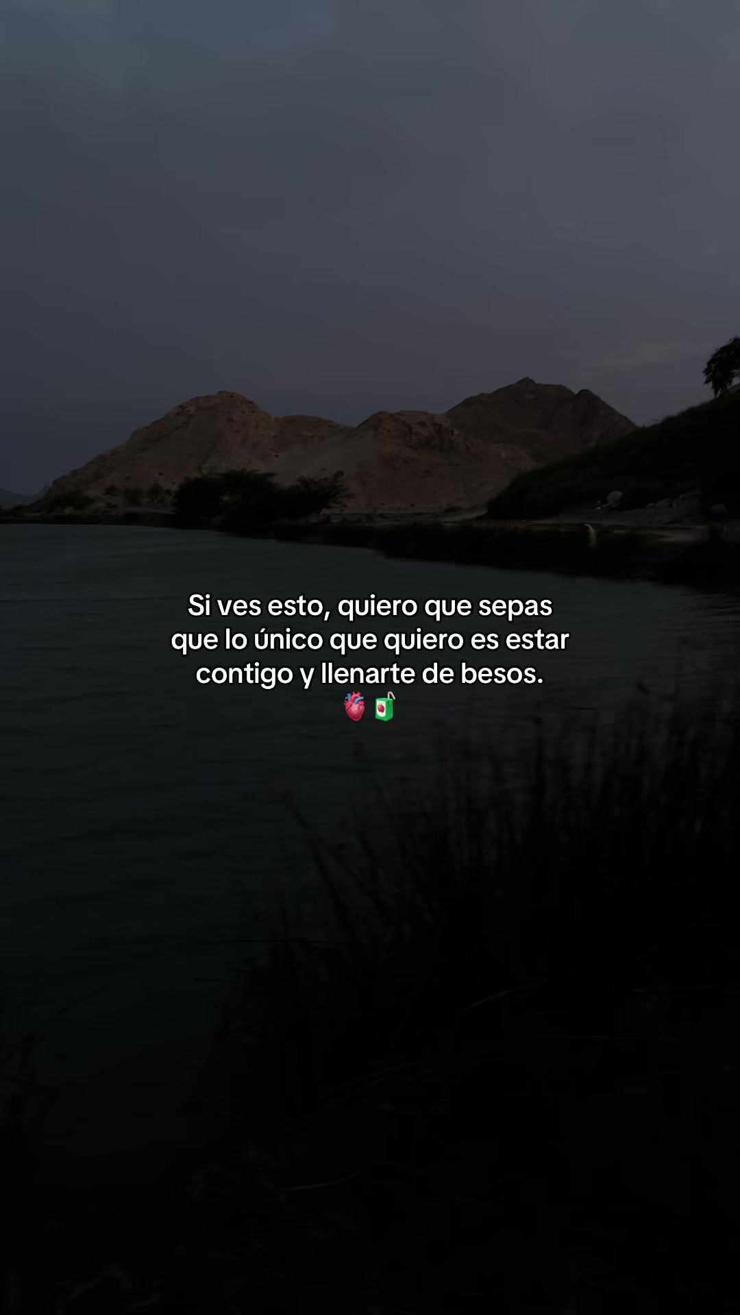 @Gatocix 🐱