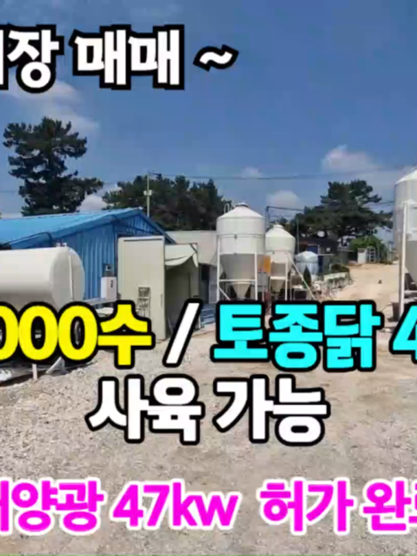 @민랜드부동산