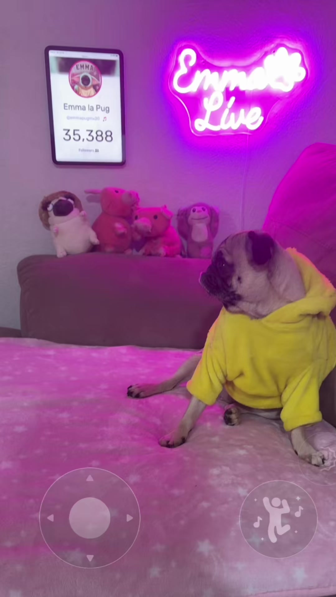 @Emma la Pug