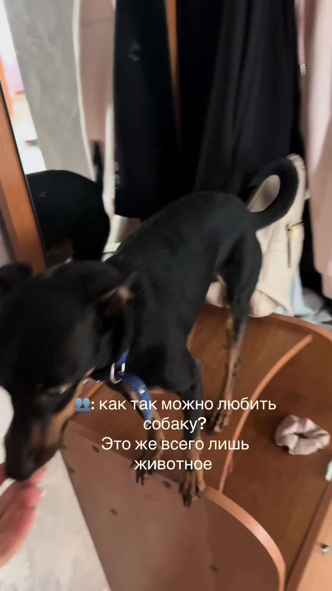 @Яна