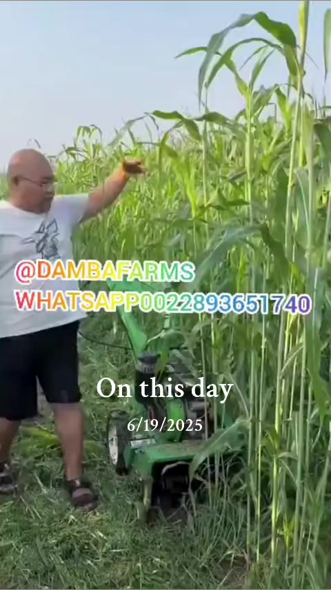 @dambafarms