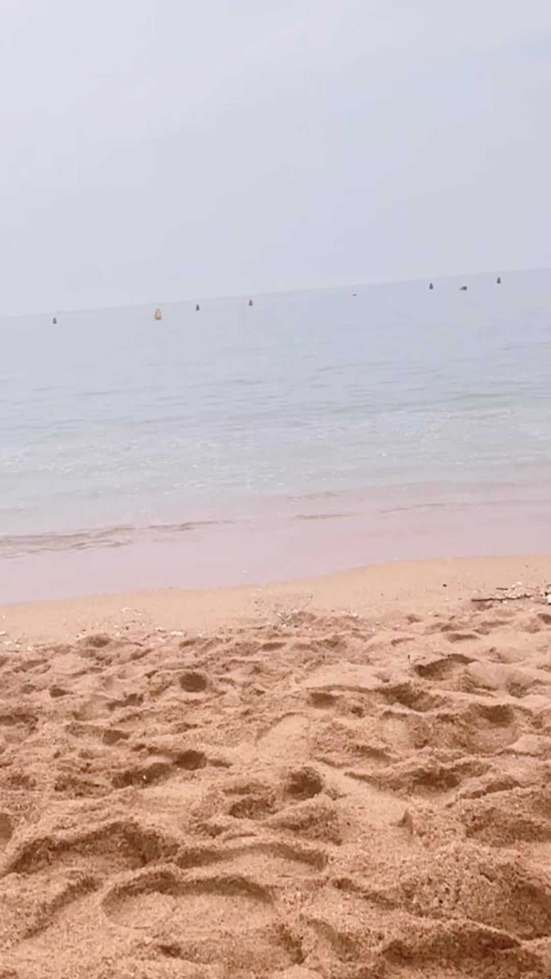 @shaista in korea