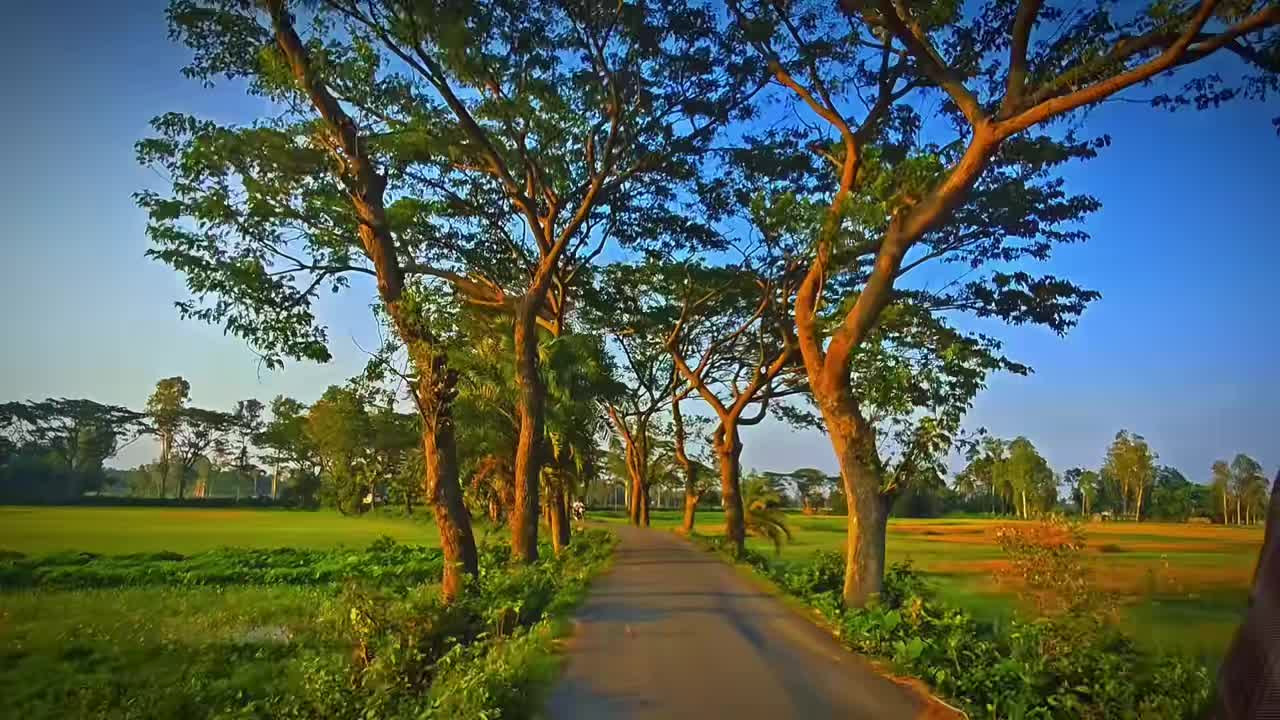 @🇦🇷 ফুটবল লাভার 🇦🇷🥰