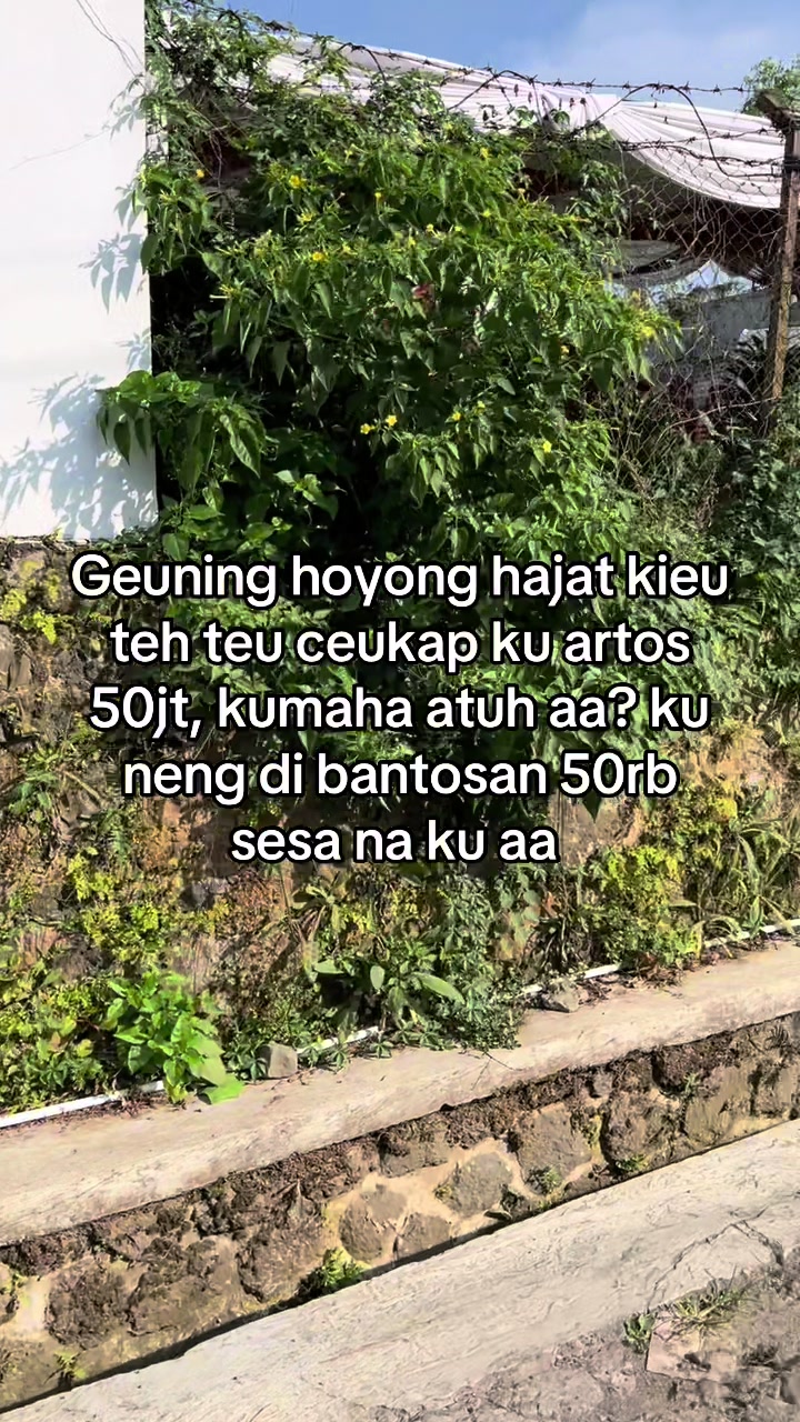 @🎧ྀི♪⋆.✮