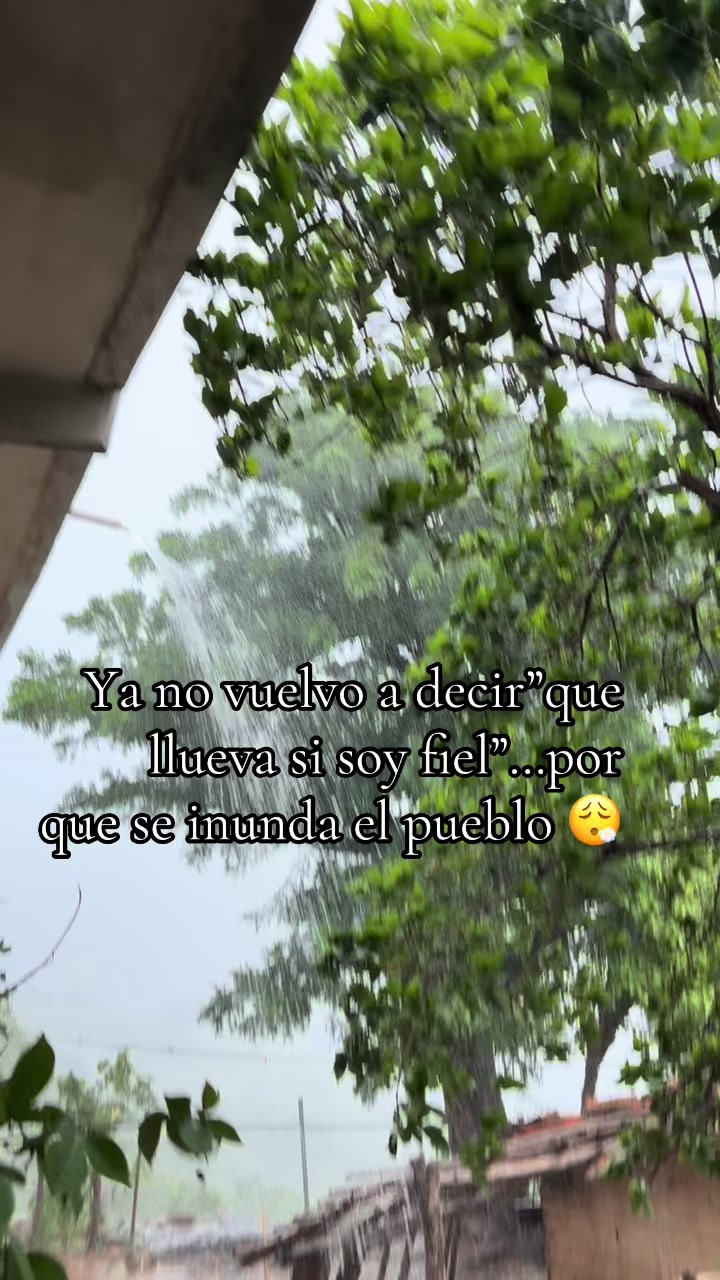 @Iris Cristal Garc&iacute;a Ocampo