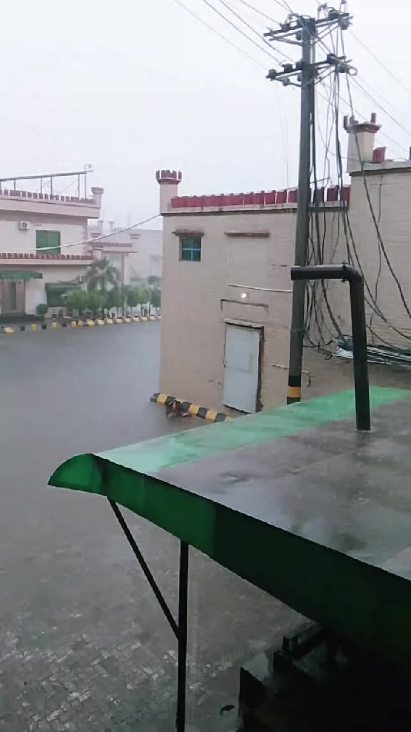 @ransshahid472
