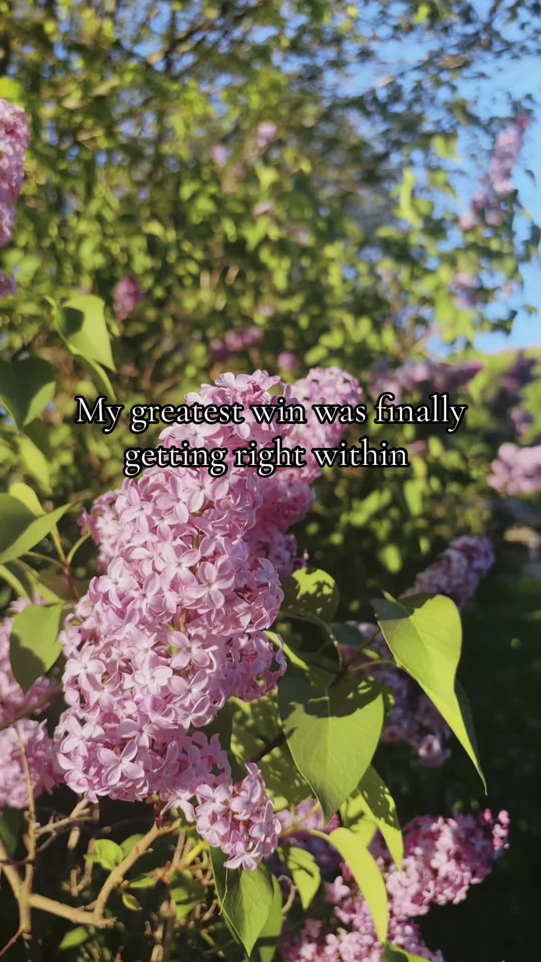 @Shellz❤️