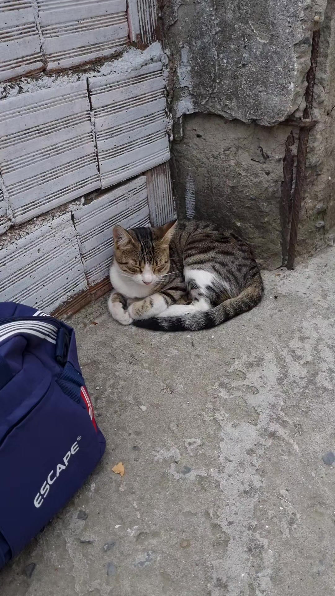 @Ey&uuml;p &Ccedil;oban