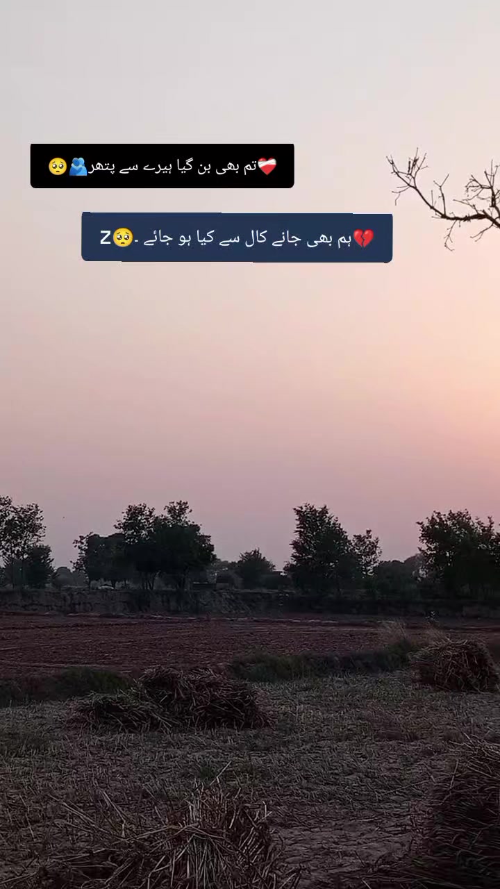 @zoman201