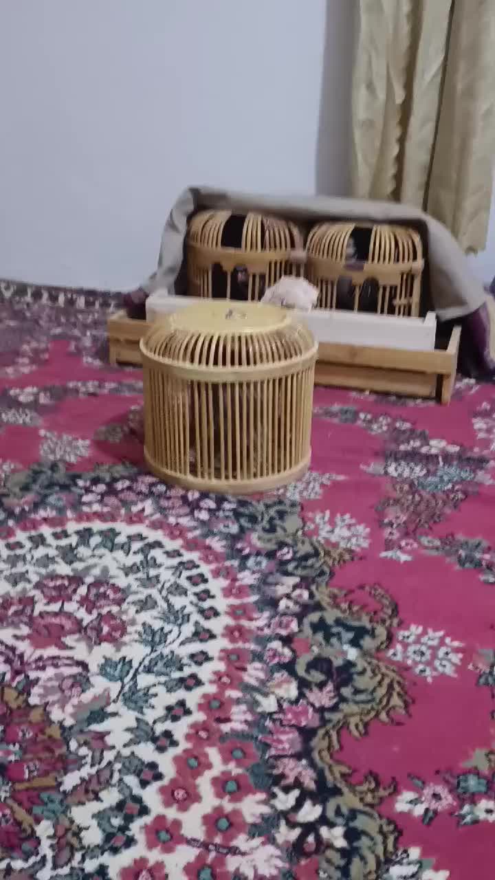 @Murat &ccedil;okan