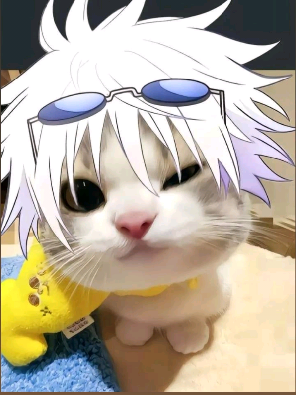 @mikasa•୨ৎ