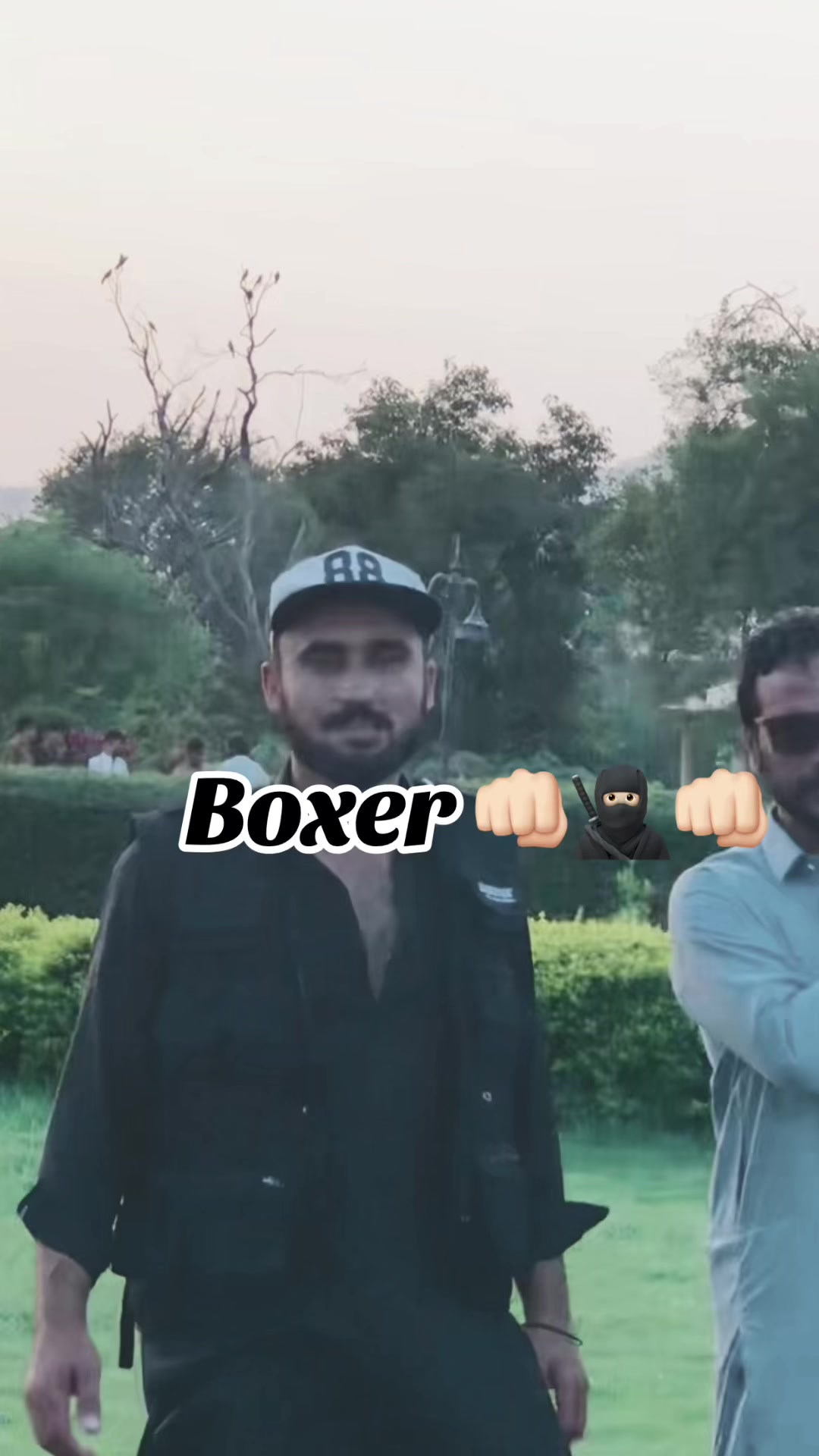 @Boxer 1