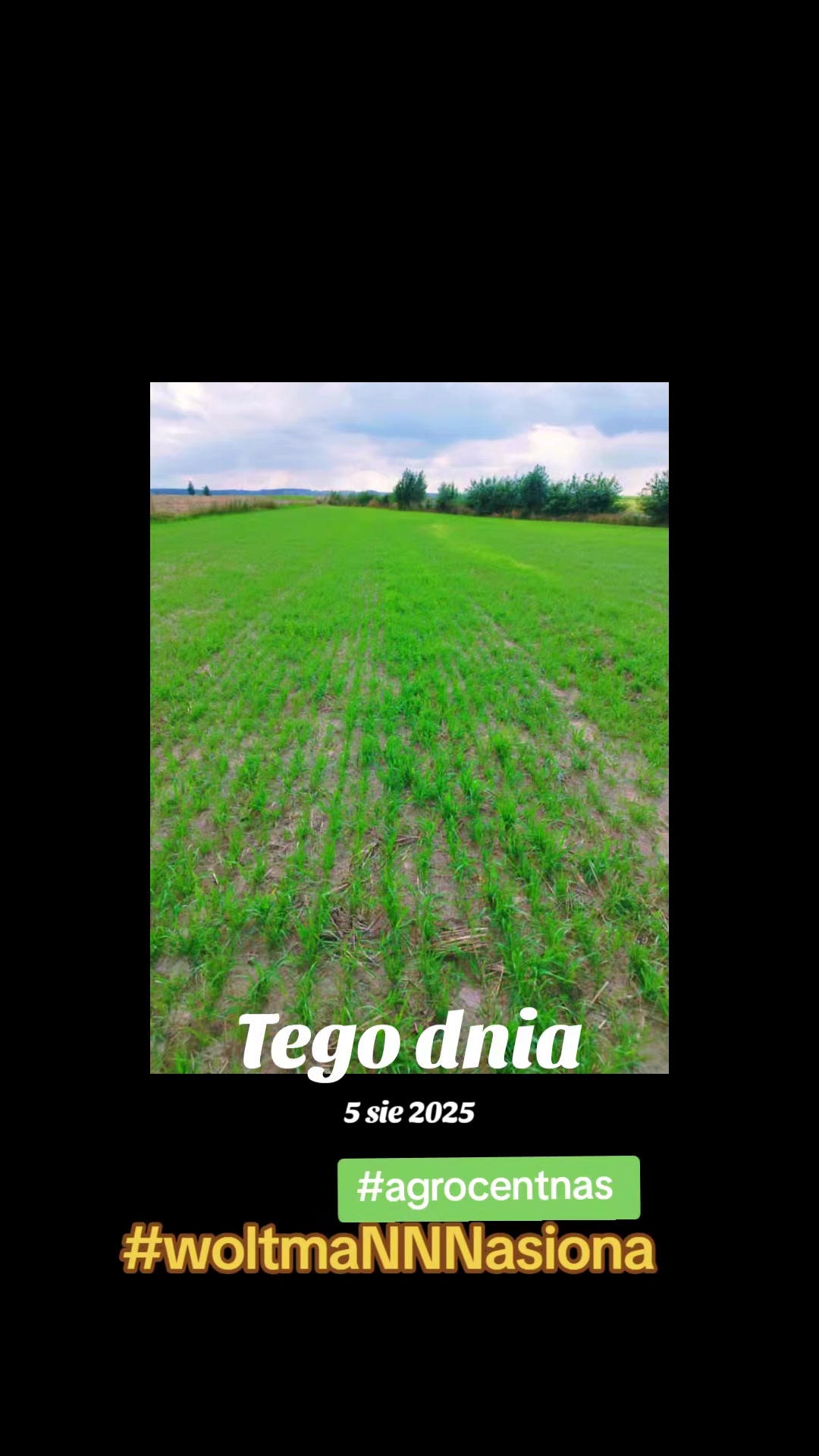 @WOLTMANNNASIONA