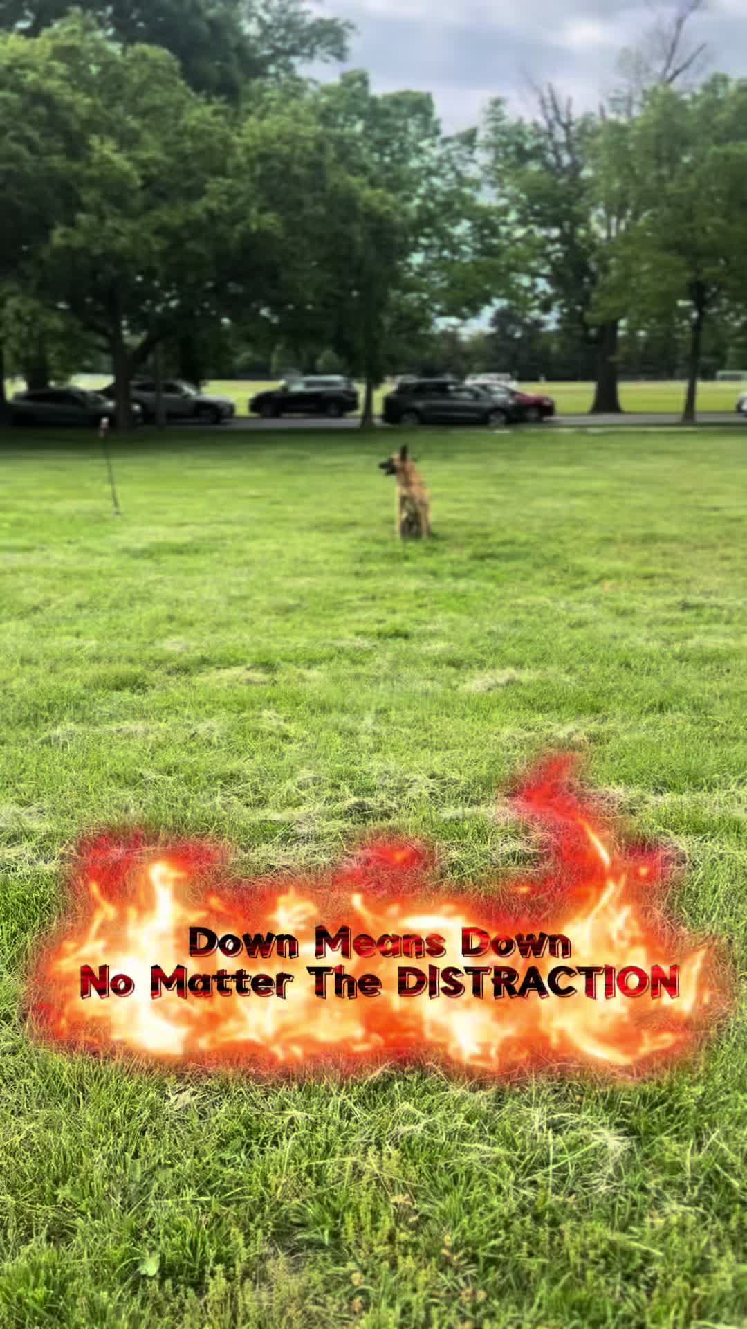 @Mike