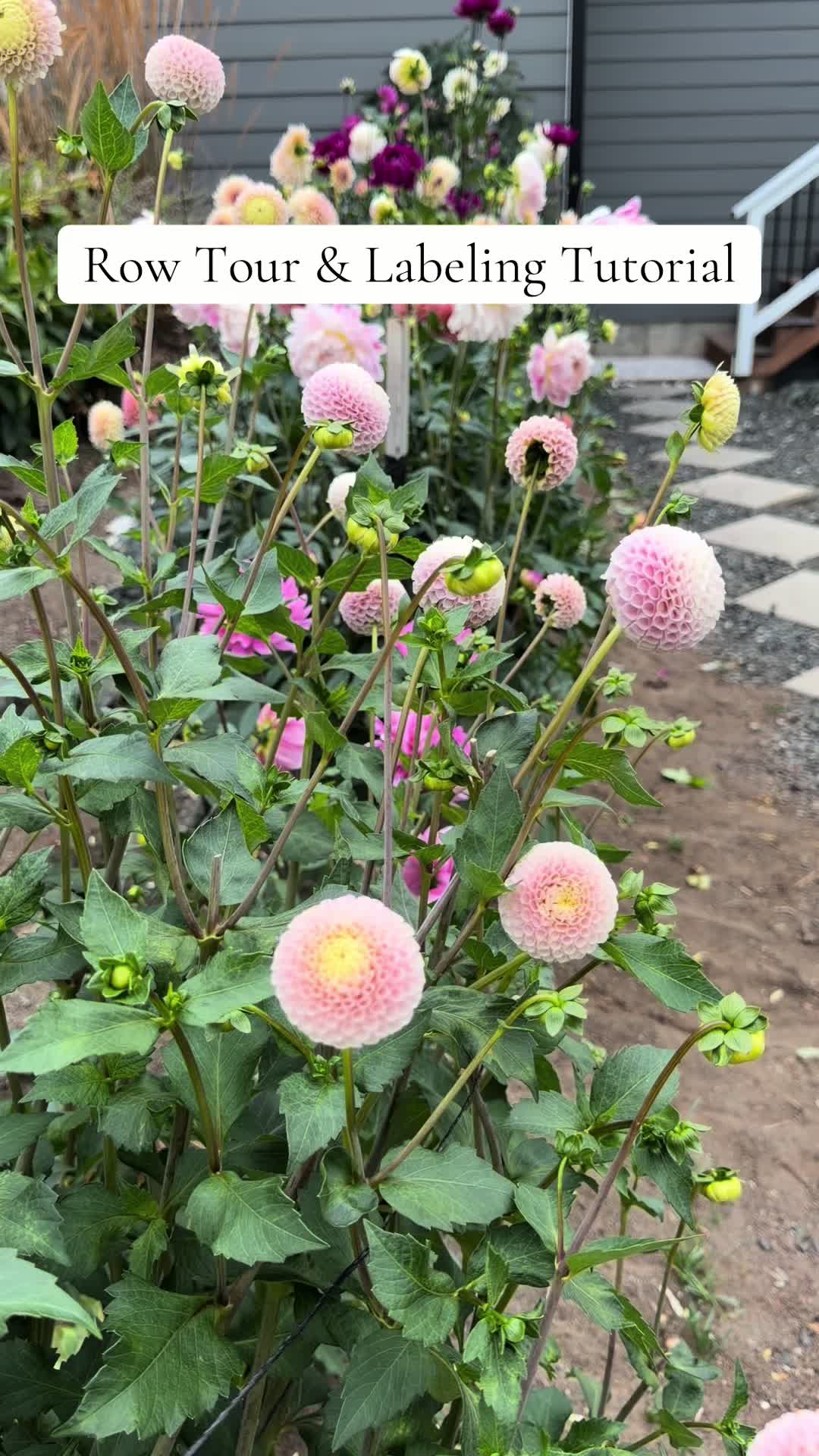 @Only The Pretty Petals