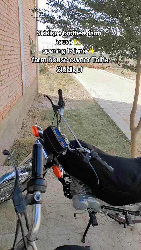 @Talha Hamid